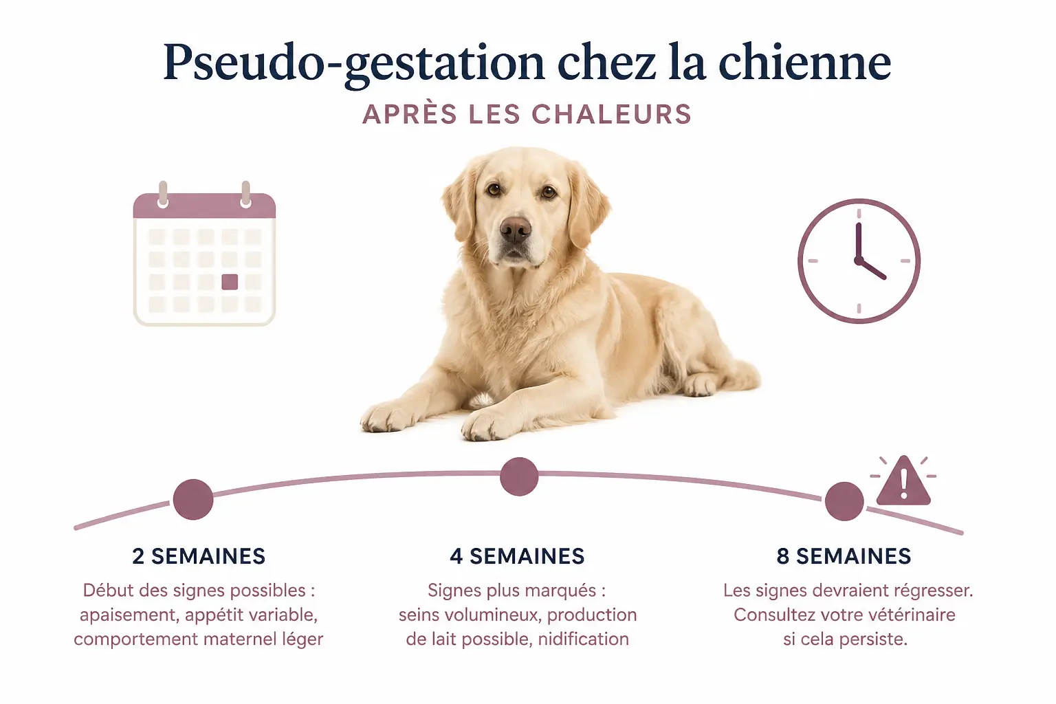 Combien de temps dure l’épisode après les chaleurs ?